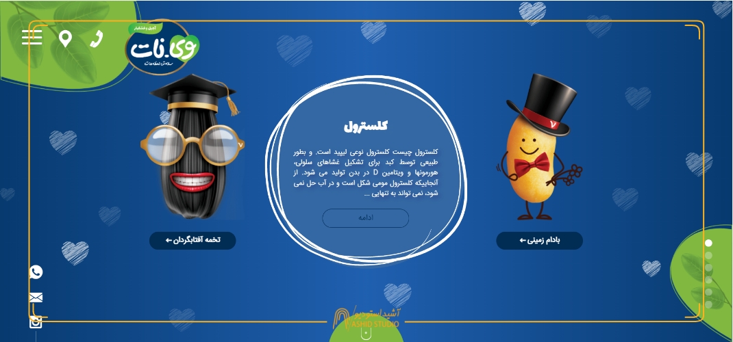 طراحی وب سایت شرکتی وی نات.jpg